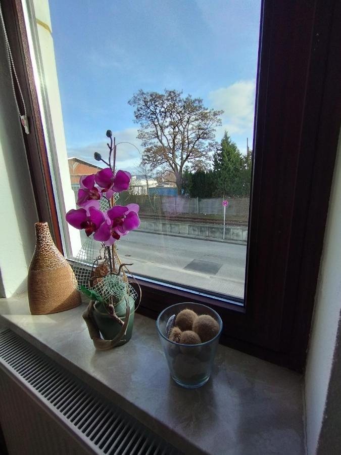 Apartment Sunny Side Kiel